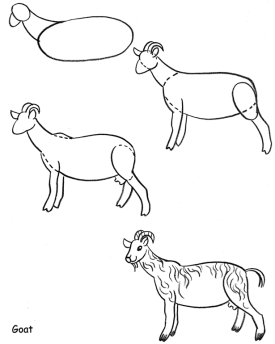 275x344 Drawn Farm Animals Line Drawing