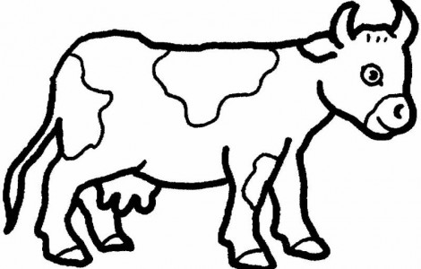 470x300 Simple Coloring Pages Of A Cow Download Free Printable Coloring