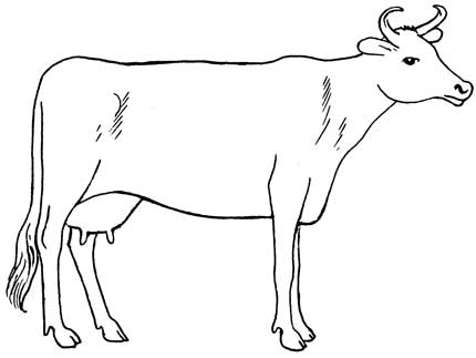 Cow Drawing Simple at GetDrawings | Free download