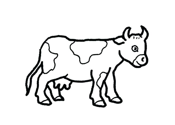 700x500 Coloring Pictures Cows Coloring Cow Coloring Book Pictures
