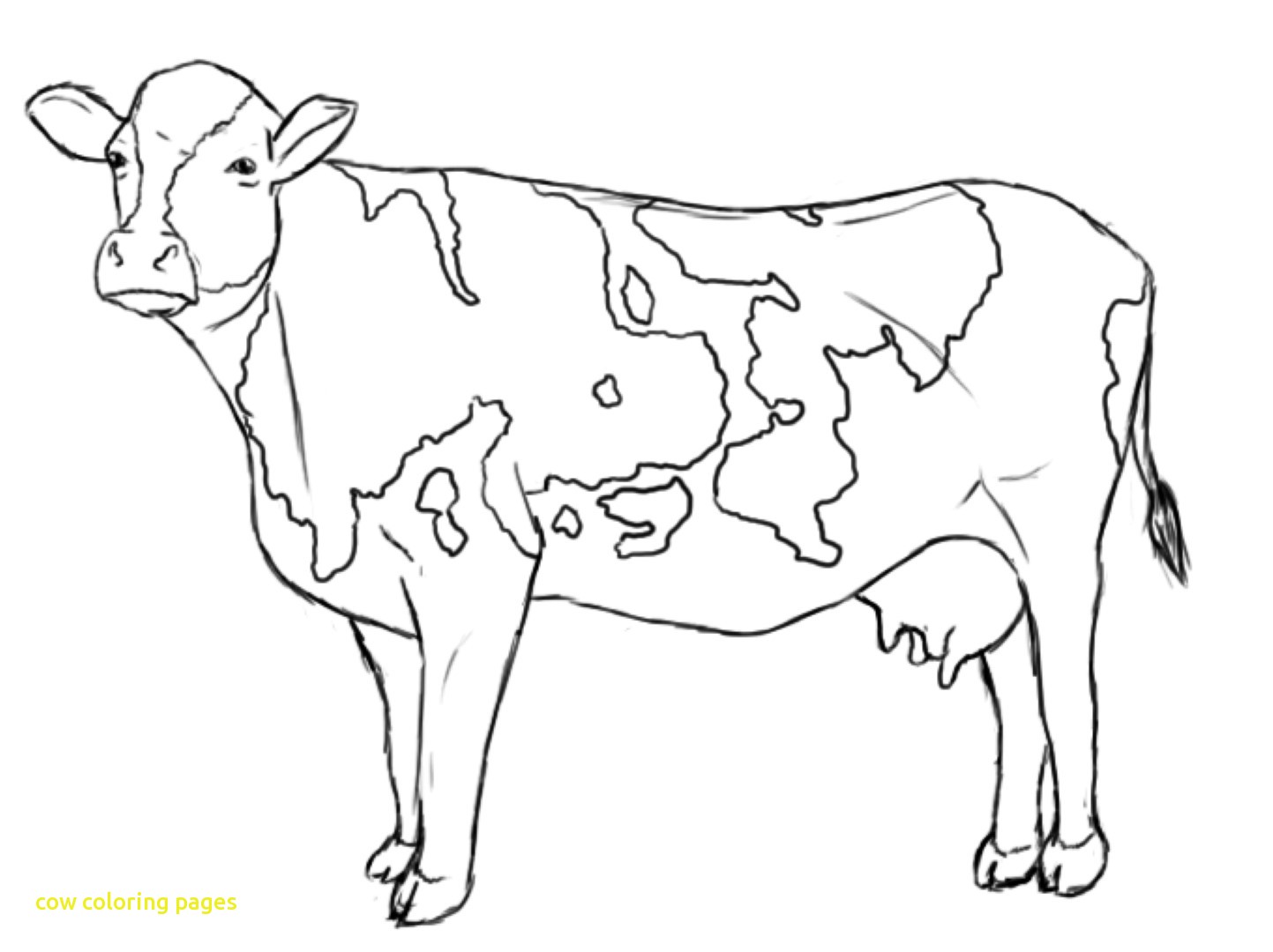 1443x1080 Cow Coloring Pages With Cow Htm Simply Simple Cow Coloring Page