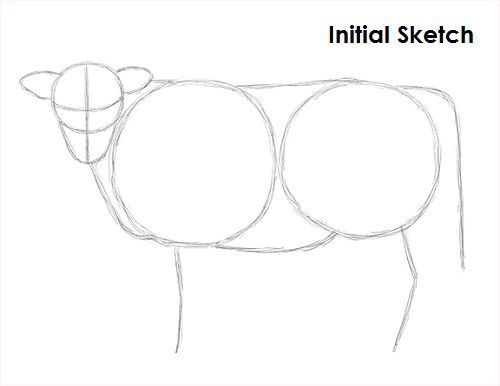 500x386 Cow Drawing Sketch Mattu Pongal Special Cow