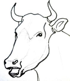 236x273 Cow Faces Archives