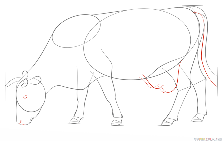 900x573 Drawn Cow Indian Cow