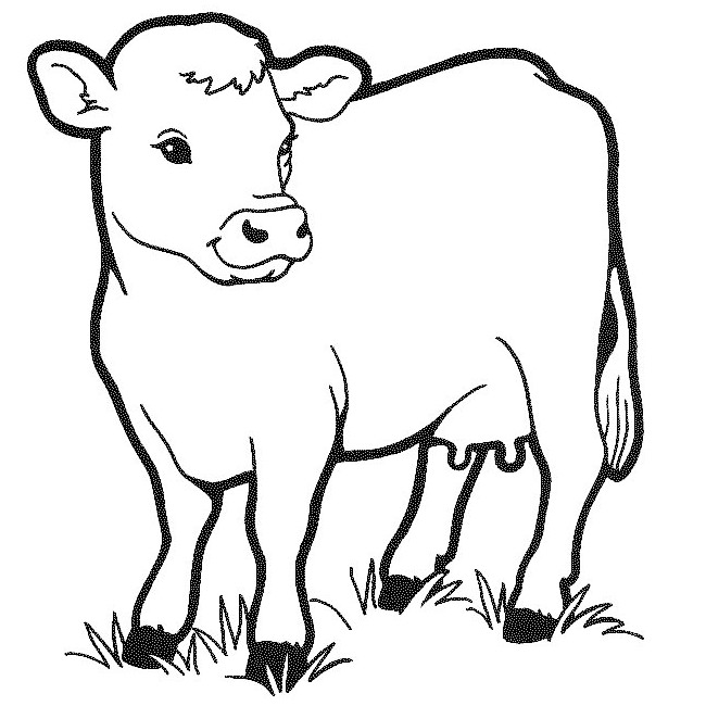 650x650 Farm Animal Template
