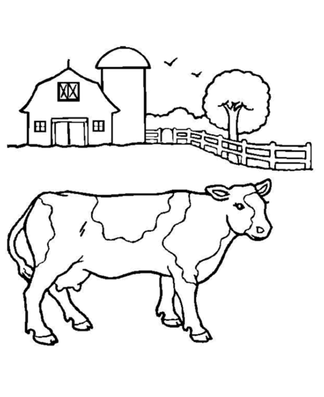 670x820 Coloring Page Cow