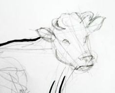 236x191 Image Result For Step By Step Cow Drawing Face Cows