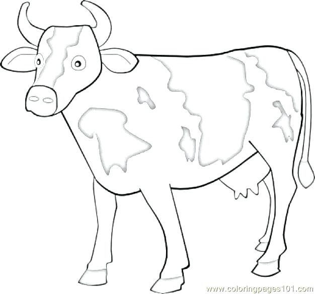 626x584 Coloring Page Cow Cow Coloring Pages Cow Coloring Page Together