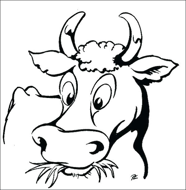 600x611 Coloring Pages Cow Cow Face Coloring Sheet Coloring Page Of A Cow
