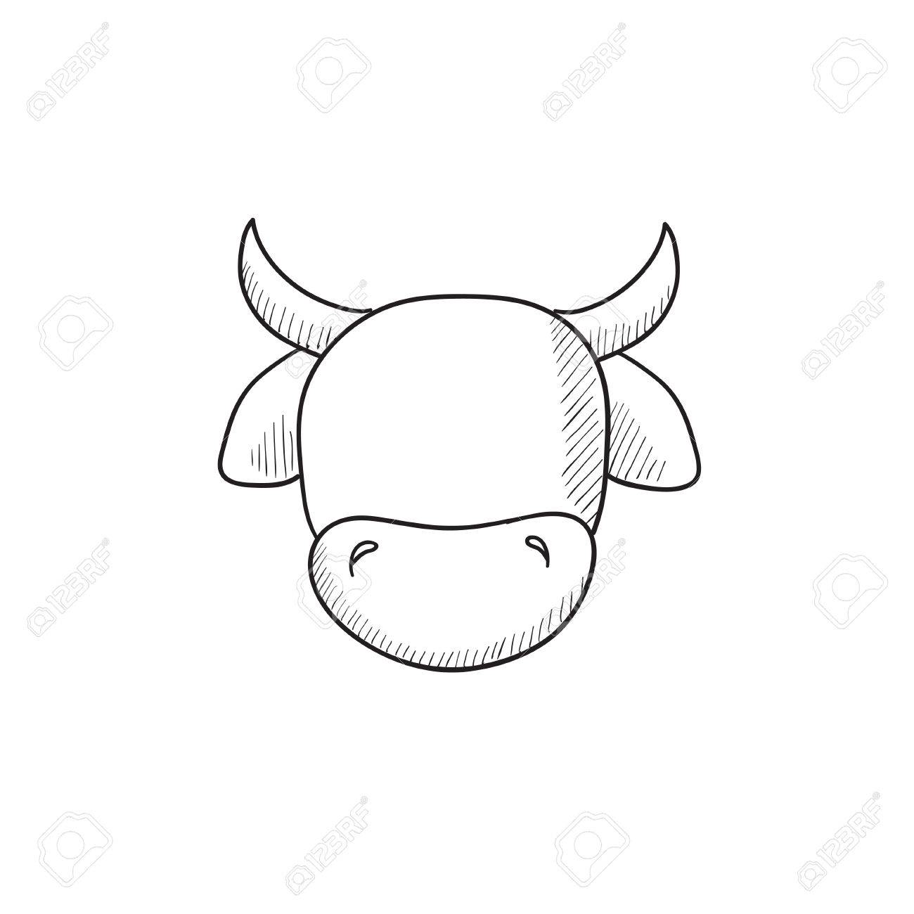 1300x1300 Cow Head Vector Sketch Icon Isolated On Background. Hand Drawn