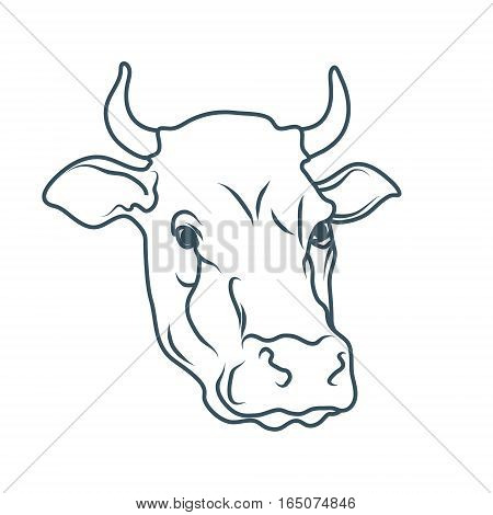 450x470 Cow Images, Illustrations, Vectors