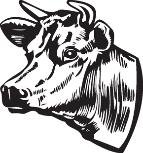 290x310 Cow Decal Animals Mix Animal Decals Decals Custom