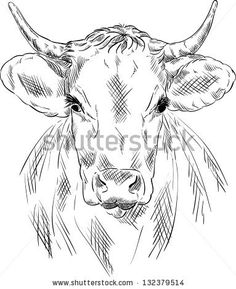 236x289 Image Result For Cow Head Drawing Doodle Art Cow