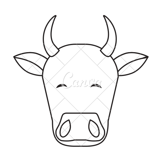 550x550 Indian Cow Head