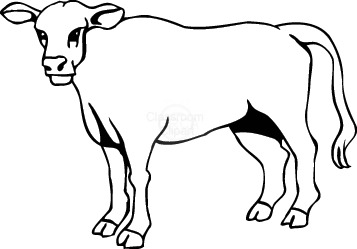 357x249 Cow Drawing Clip Art Cute Cow Drawing