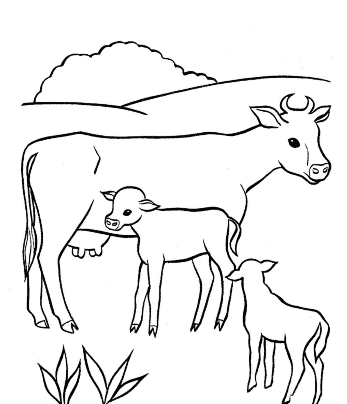 1193x1390 Baby Cow Coloring Pages With Mom