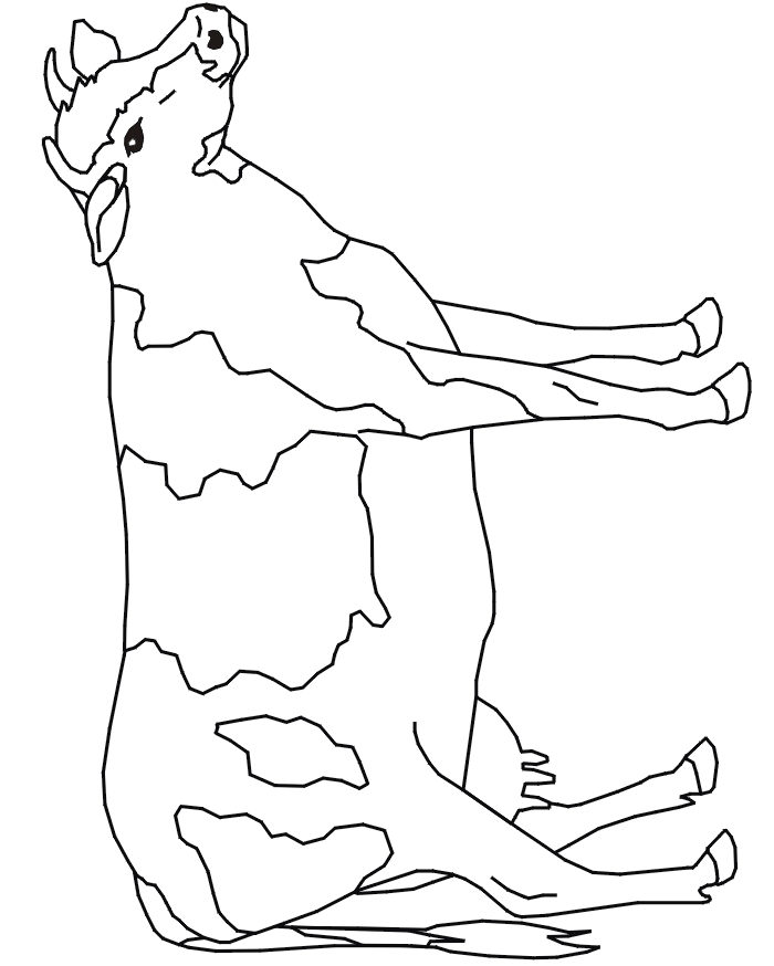 700x874 Cows Coloring Pages 507228