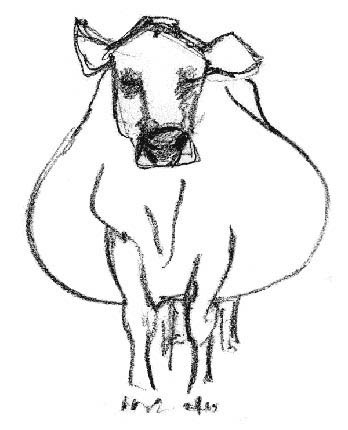 348x430 Fat Cow6 Greeting Card Original Line Drawing
