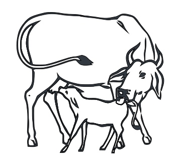Cow Line Drawing at GetDrawings | Free download