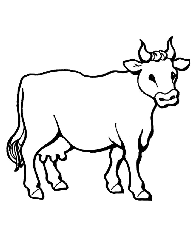 625x780 Cow Coloring Pages