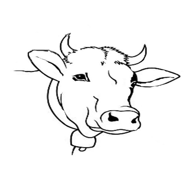 Cow Outline Drawing at GetDrawings | Free download