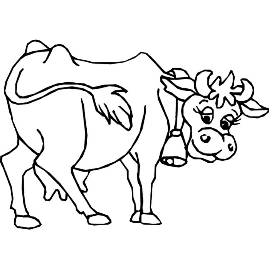 Cow Outline Drawing at GetDrawings | Free download