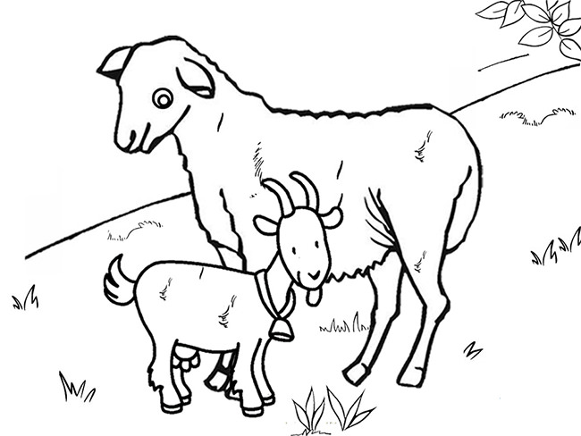 650x488 Farm Animal Template