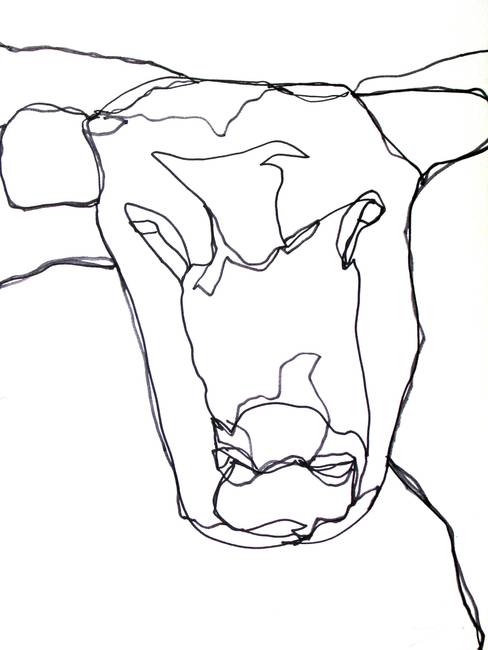 488x650 Drawing Cow Pencil Drawings And Illustrations For Sale On Fine