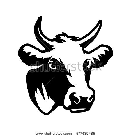 450x470 Drawn Cattle Head