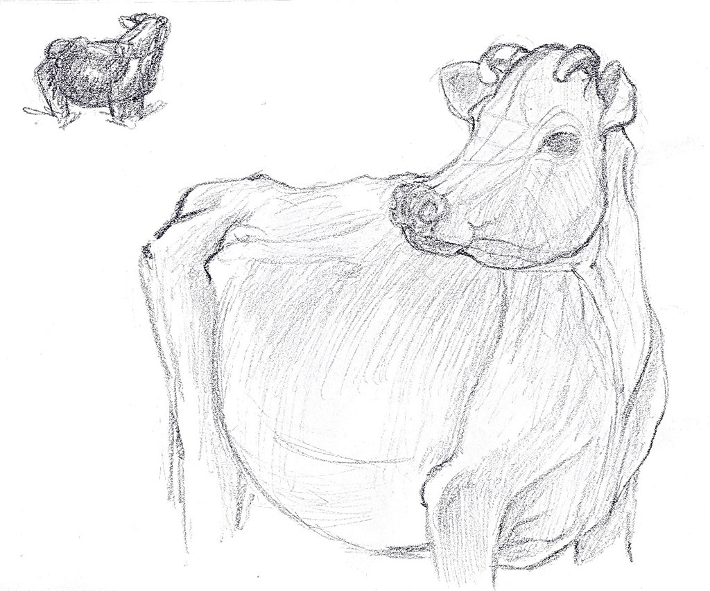1024x853 Pencil Drawings Of Cows Cow Sketch Lilithdarck