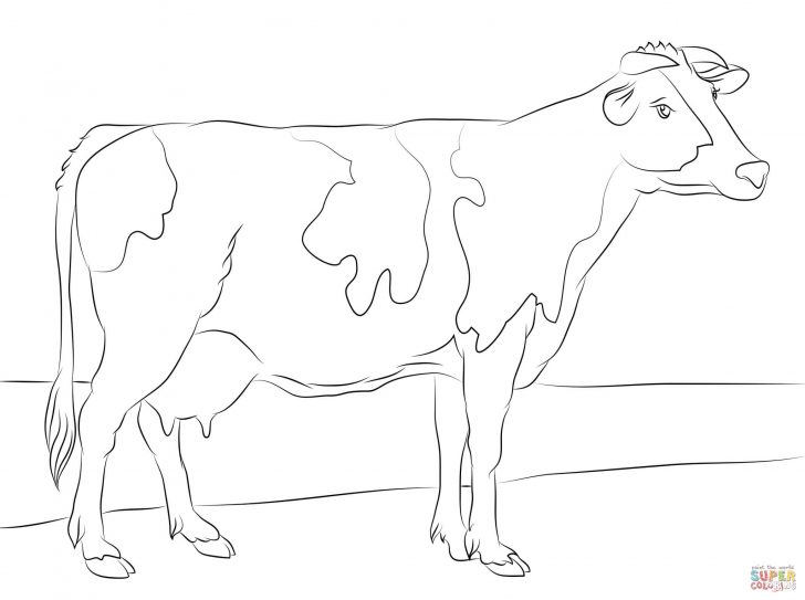 728x543 Coloring. Coloring Trend Thumbnail Size Step By Drawing Cows Drawn