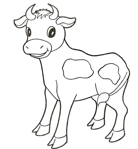 445x480 Cow Coloring Page For Drawn Cow Coloring Page Pencil And In Color