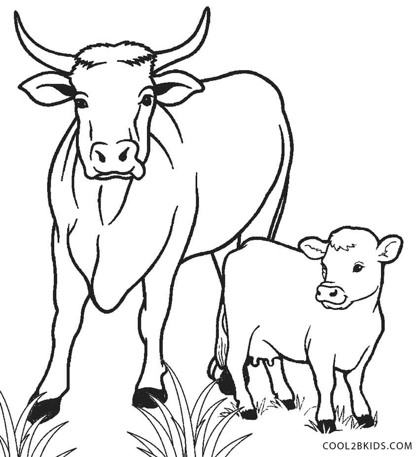 850x926 Free Printable Cow Coloring Pages For Kids Cool2bkids