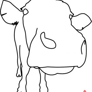 300x300 Adult Cow Face Drawing Cow Face Cartoon Drawings. Cow Face Drawing