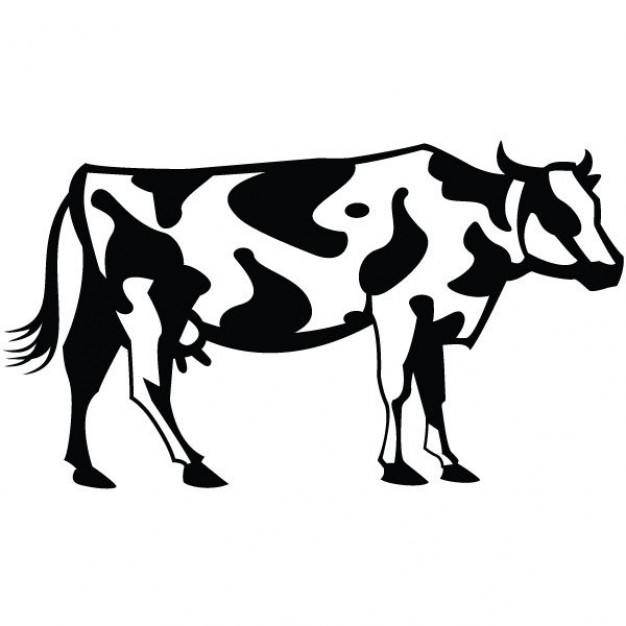 626x626 Cow Clipart Vector Cute Simple Outline