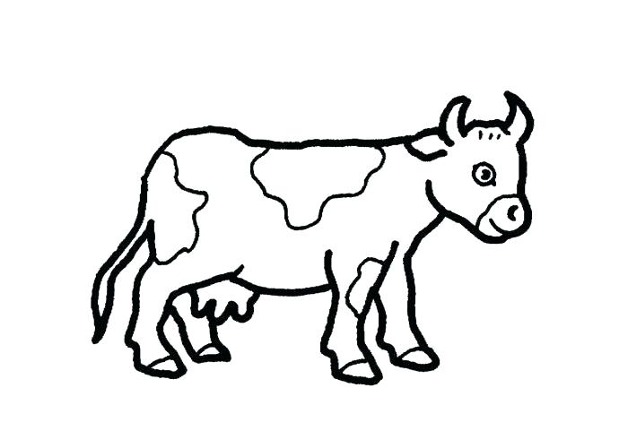 Cow Simple Drawing at GetDrawings | Free download