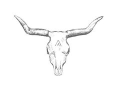 236x182 Bull Skull Drawing By John Gordon Art Tats Bull