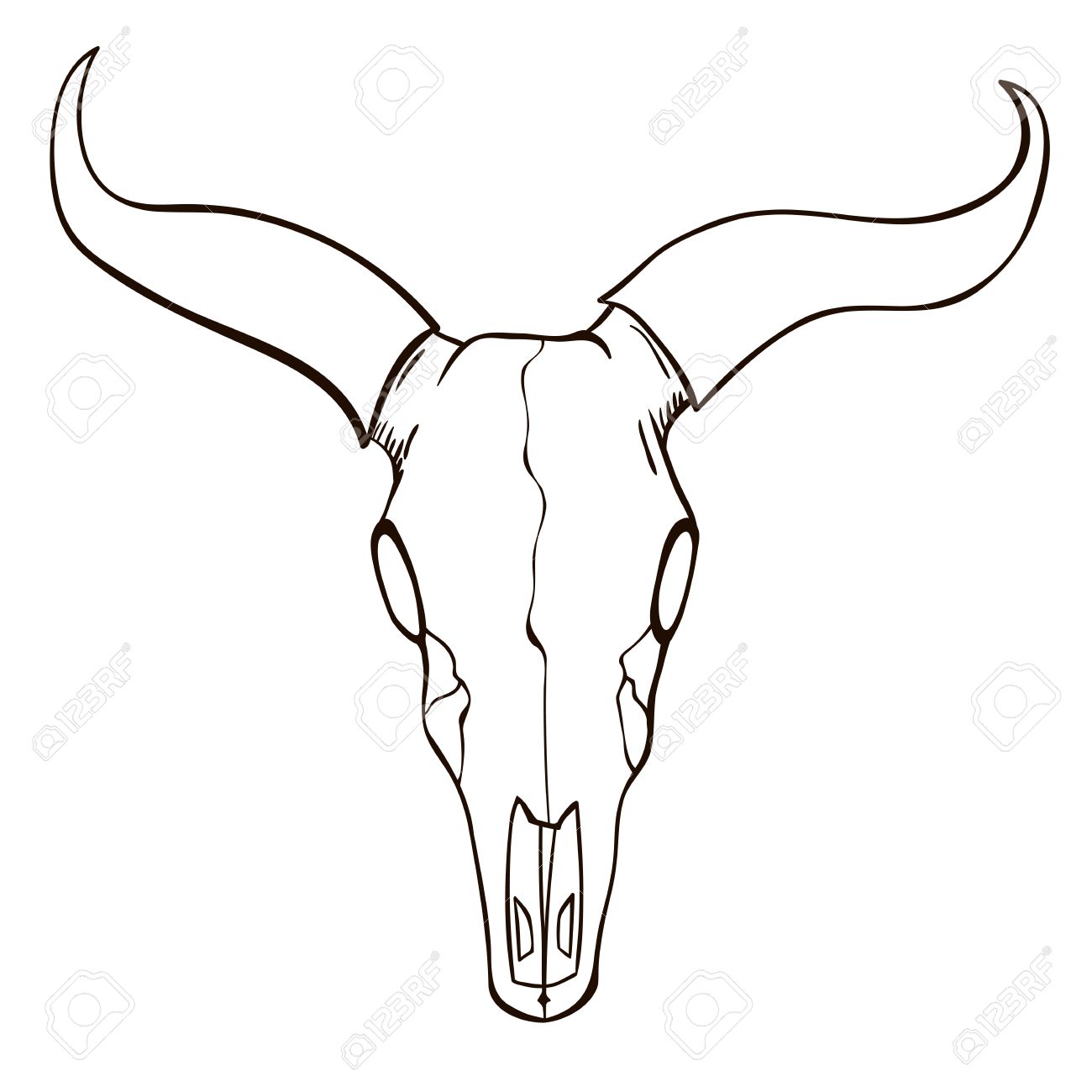 1300x1300 Bull Skull Sketch Royalty Free Cliparts, Vectors, And Stock