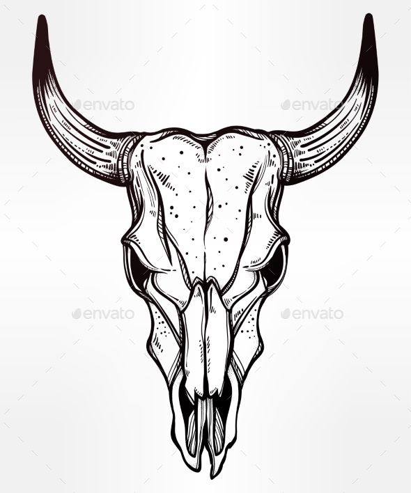 590x708 Hand Drawn Romantic Style Cow Or Bull Skull By Itskatjas