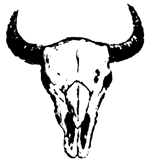 535x562 Buffalo Clipart Buffalo Skull Clipart