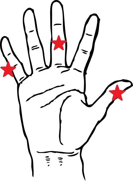 438x595 Cowbell Shoe Stories