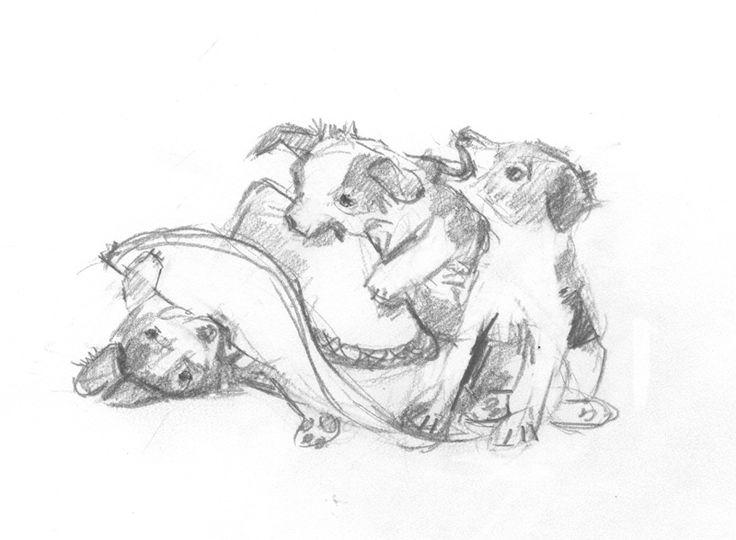 736x540 Cowboy Hat Pencil Drawing On Paper 2014 Brenna George Witches