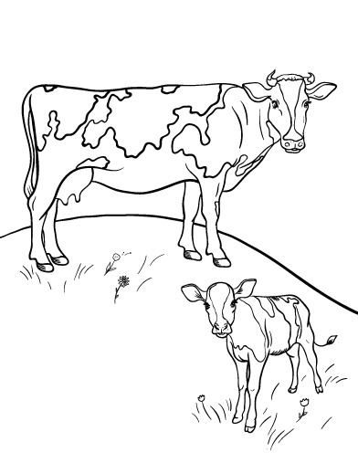 392x507 Printable Cow Coloring Page. Free Pdf Download