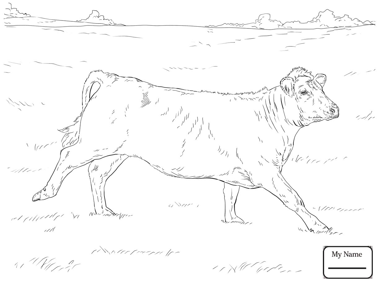 1223x917 Mammals Cows Cow 23 Cows Coloring Pages For Kids