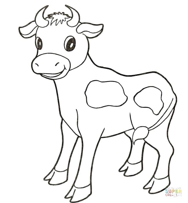 Cows Drawing at GetDrawings | Free download