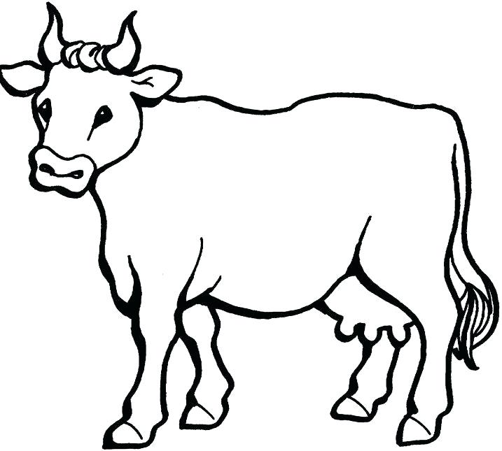 717x645 Coloring Pictures Of Cows Pin Cow Page Colori On Cow Coloring