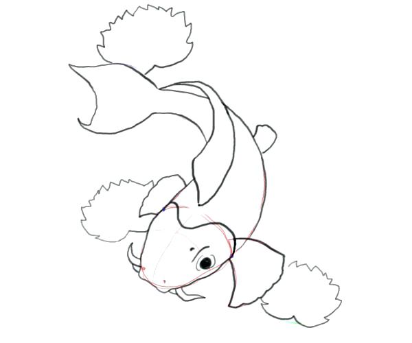600x500 Koi Fish Coloring Pages Fish Coloring Pages Realistic Koi Fish