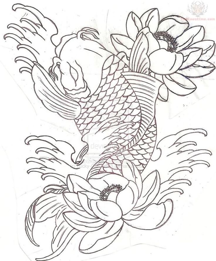 736x887 Koi Fish Tattoo Outline Elaxsir
