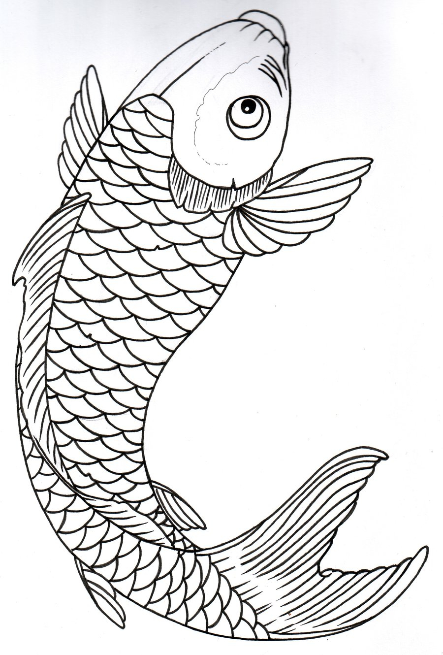 900x1330 Black And White Koi Fish Drawings