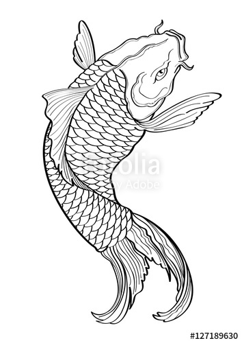 354x500 Vector Illustration Graphic Background Koi Fish Tattoo Japanese
